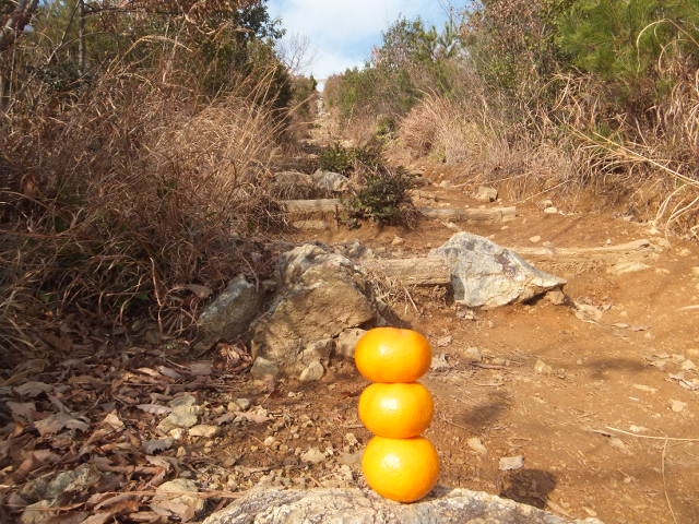a0271502_171527.jpg