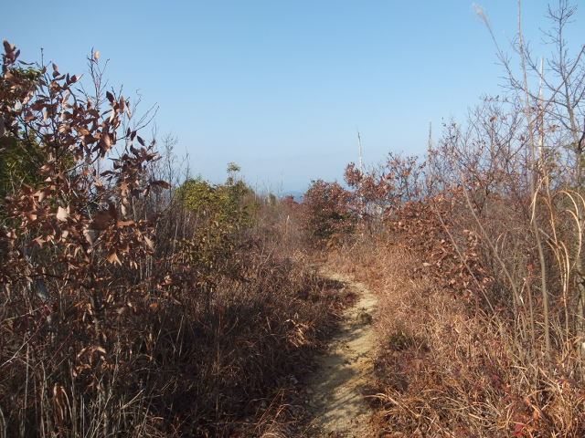 a0271502_1719299.jpg