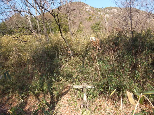 a0271502_1739137.jpg