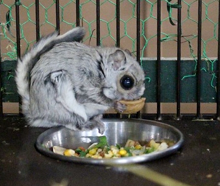 c0155902_2127988.jpg