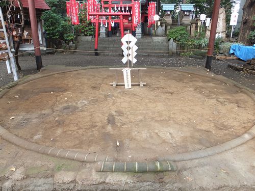 多くの御祭神を祀る「田無神社」で龍と獅子に囲まれる_f0120102_10295178.jpg