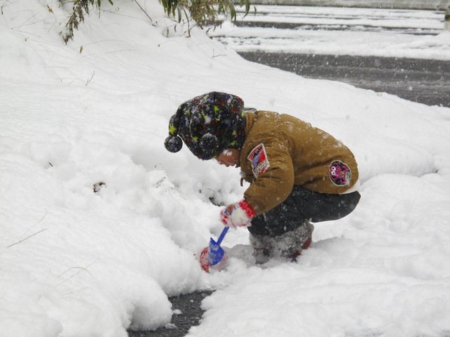 雪じゃ～_a0146005_22512850.jpg