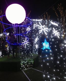 私のクリスマス_f0231309_1459646.jpg