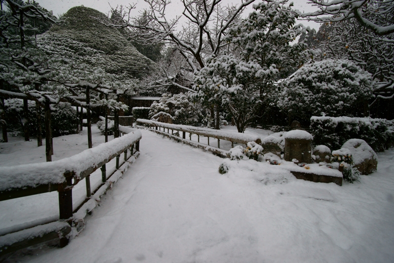 雪の宝泉院_e0177413_17325921.jpg