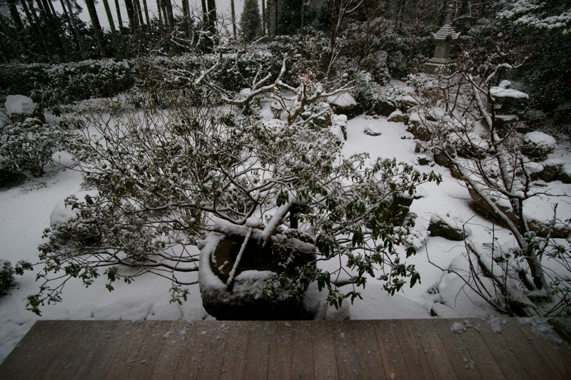 雪の宝泉院_e0177413_1763272.jpg