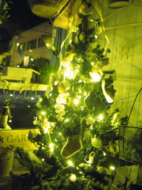 c0085916_359481.jpg