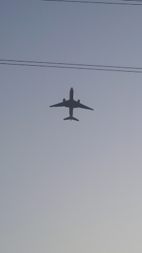 e0224118_1410274.jpg