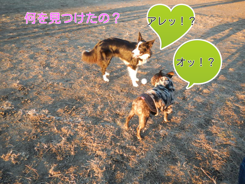 a0232619_17514887.png