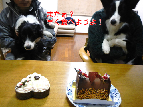a0232619_21475226.png