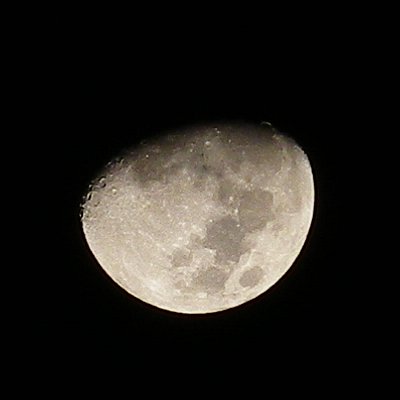 a0260019_052548.jpg