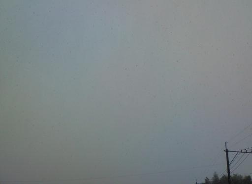 c0097620_1753128.jpg