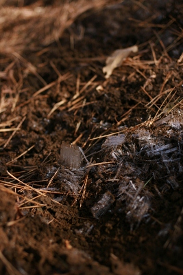 f0097620_23394715.jpg