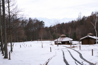 雪のクリスマス_f0097620_2352894.jpg