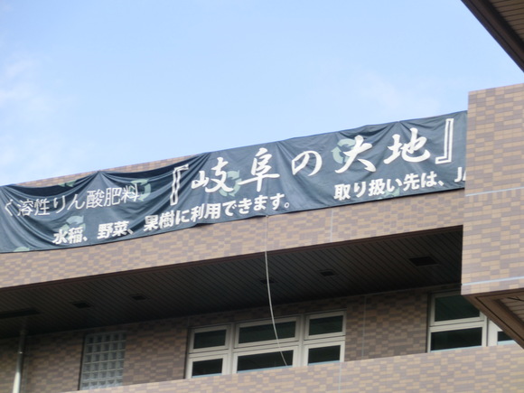 d0237121_1743782.jpg