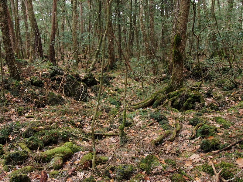 c0085622_2093094.jpg