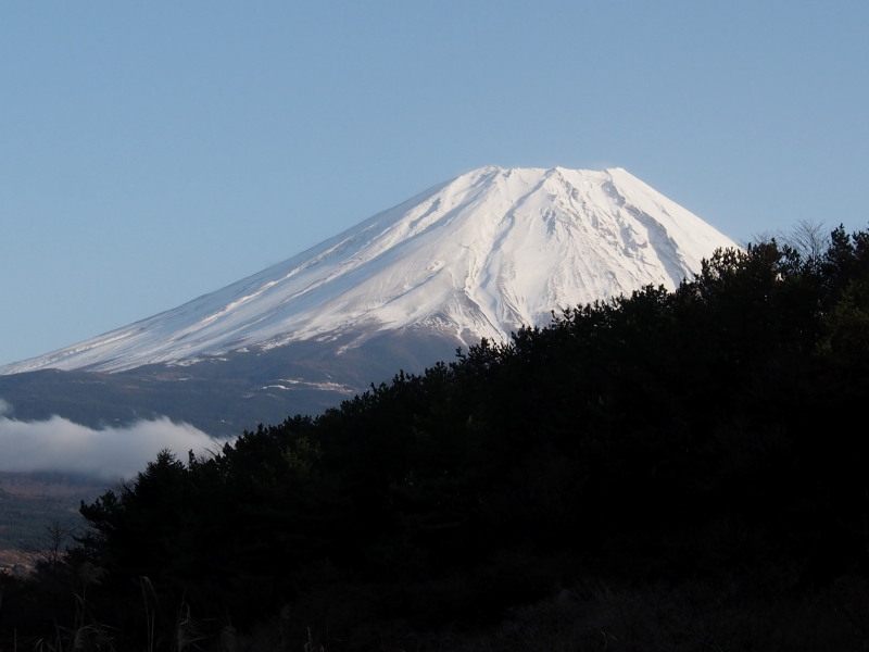 c0085622_209757.jpg