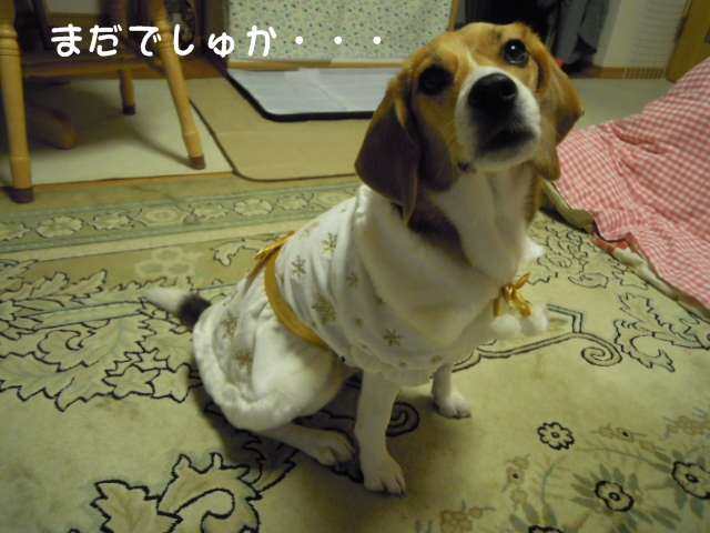 c0166622_20365548.jpg