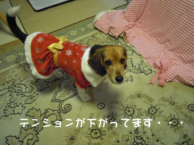 c0166622_20371081.jpg