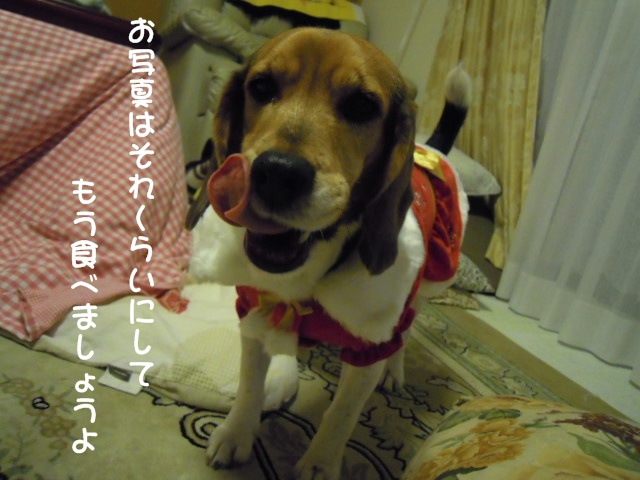 c0166622_20373275.jpg
