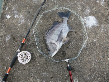 f0031423_9474311.jpg