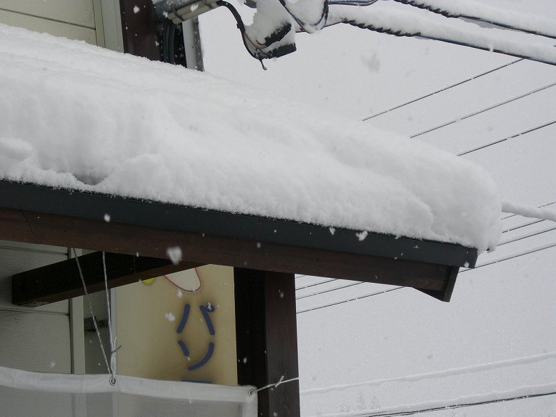 南魚沼市では雪がまた20cmくらい積もりました_d0015124_10481424.jpg