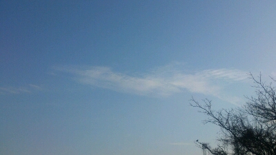 b0253627_7322948.jpg