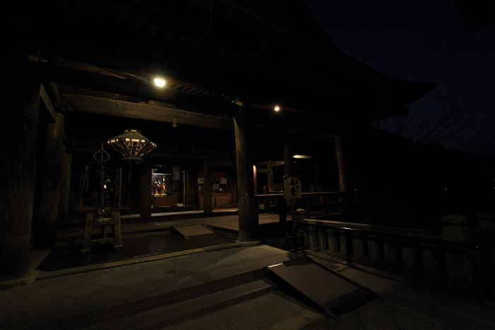 月夜の清水寺（前編）_b0169330_10261631.jpg