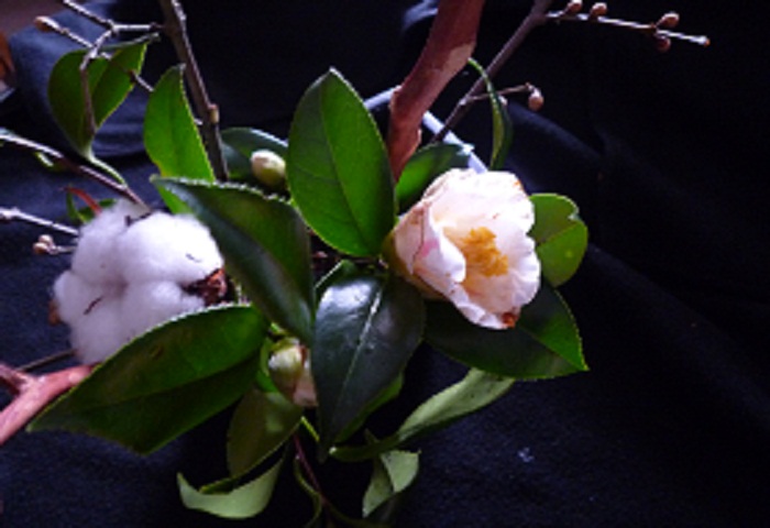 b0197031_1424738.jpg