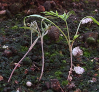 f0108133_7162912.jpg