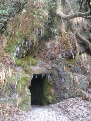 雲仙の花ぼうろに大感激！そして晴れ間に覗かせた平成新山を見ることができました！！_e0272335_21251240.jpg