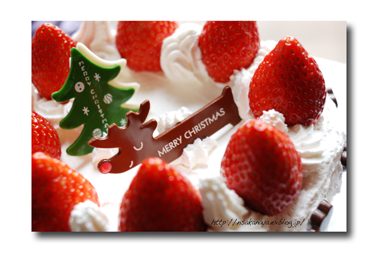 　☆ Merry Christmas ☆　〜 Happy Holidays 〜_d0069838_2155039.jpg