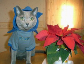 c0180341_22141010.jpg