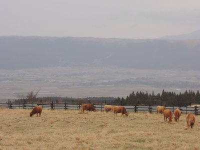 d0142944_21272541.jpg