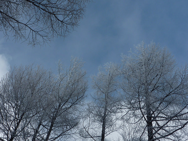 c0081645_2126195.jpg