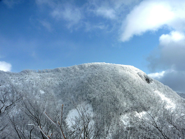 c0081645_21434289.jpg