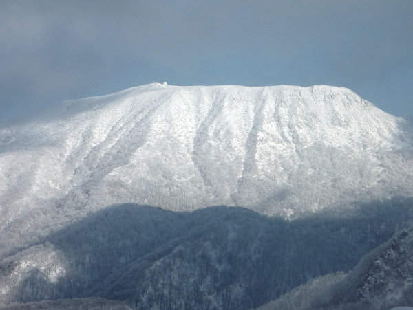 c0081645_21465185.jpg