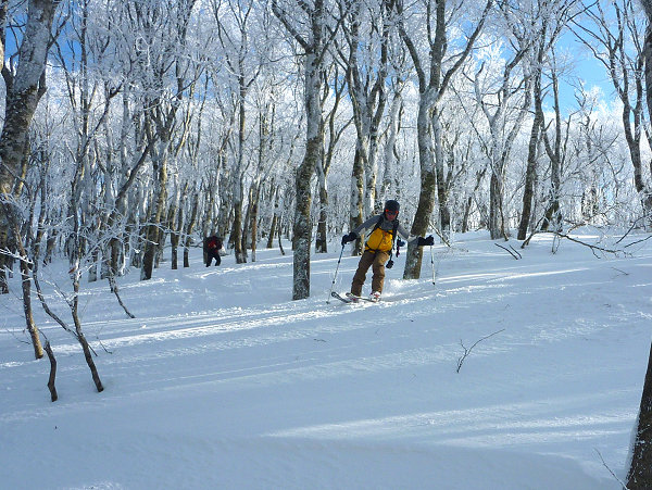 c0081645_22235133.jpg