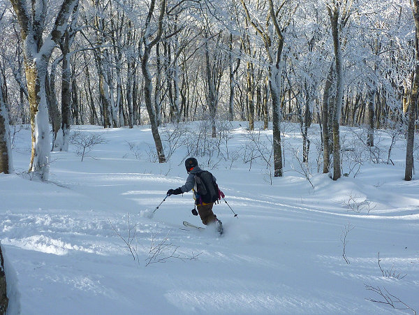 c0081645_2234322.jpg