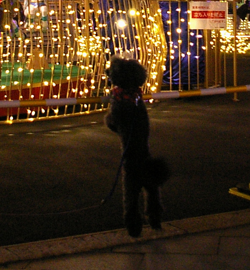 d0026745_630299.jpg