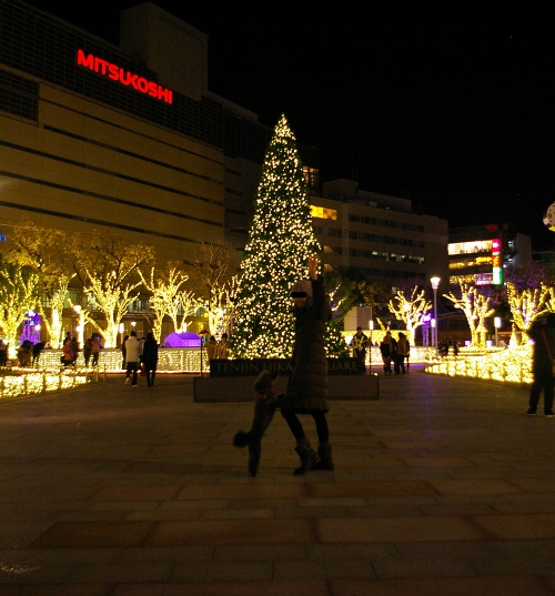 d0026745_631559.jpg