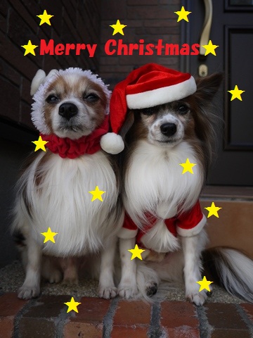 ☆☆☆Ｍｅｒｒｙ　Ｃｈｒｉｓｔｍａｓ☆☆☆_e0100046_19504596.jpg