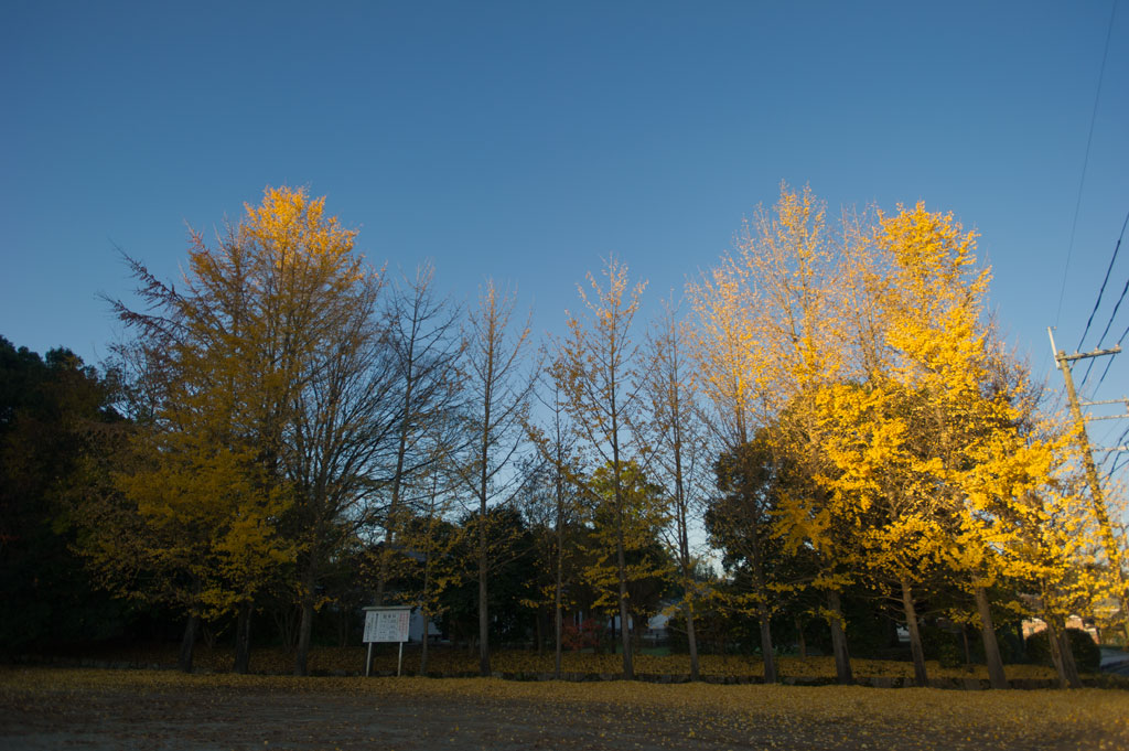 ◆飛鳥　Ⅰ　奈良県_b0023047_624024.jpg