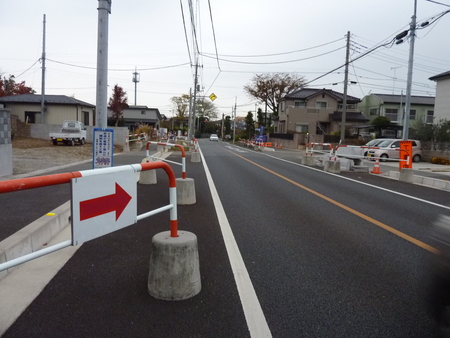 日光御成街道を歩く　一日目：その１３　新井宿から東川口駅まで_b0082147_2222715.jpg