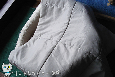 e0031853_1140666.jpg