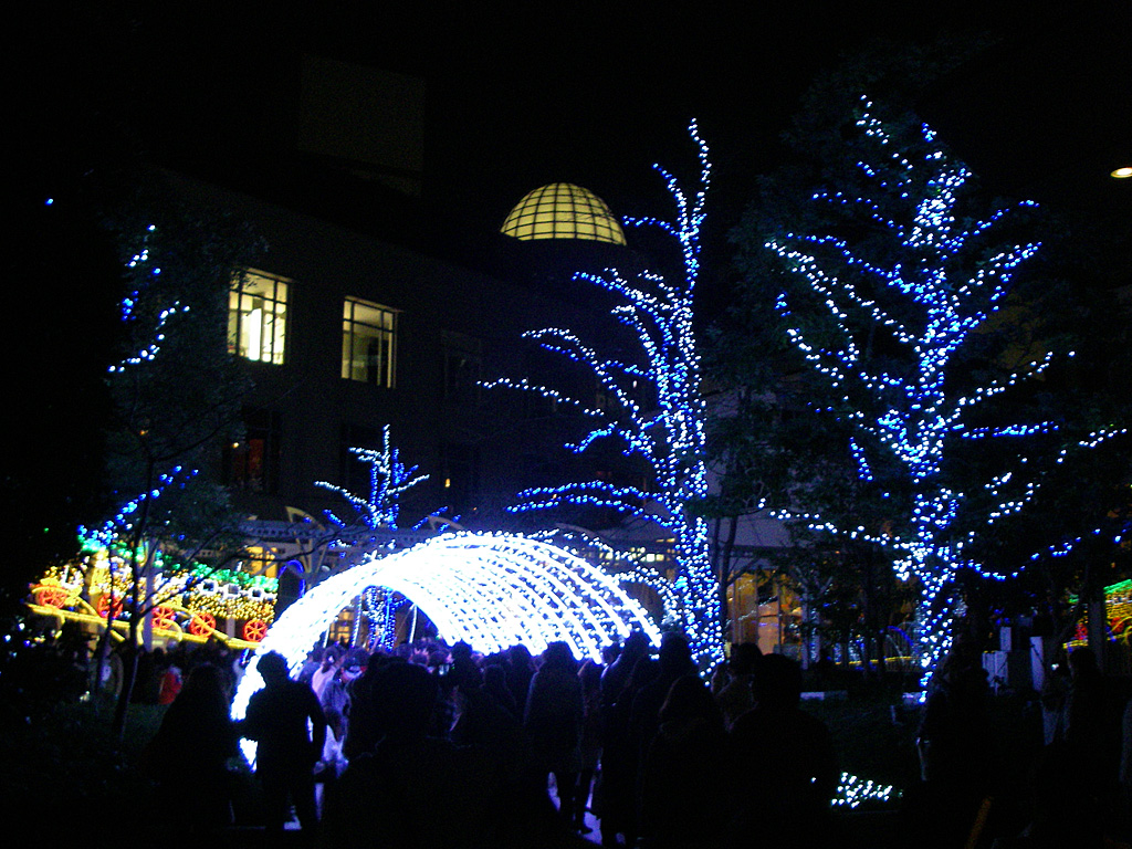 a0130057_22375625.jpg