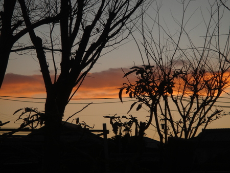 c0108460_1717440.jpg