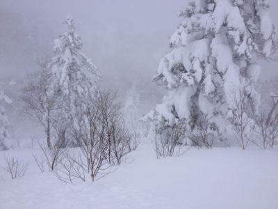 北海道4日目 ☆キロロスノーワールド_c0151965_11335466.jpg