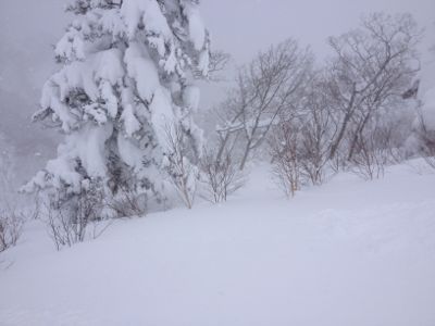 北海道4日目 ☆キロロスノーワールド_c0151965_11335698.jpg