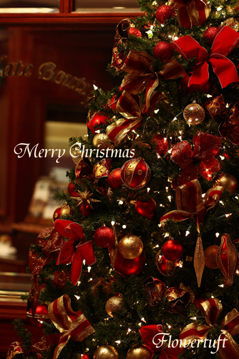 Merry Christmas!_c0137872_1942811.jpg