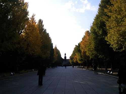 f0117673_17481021.jpg